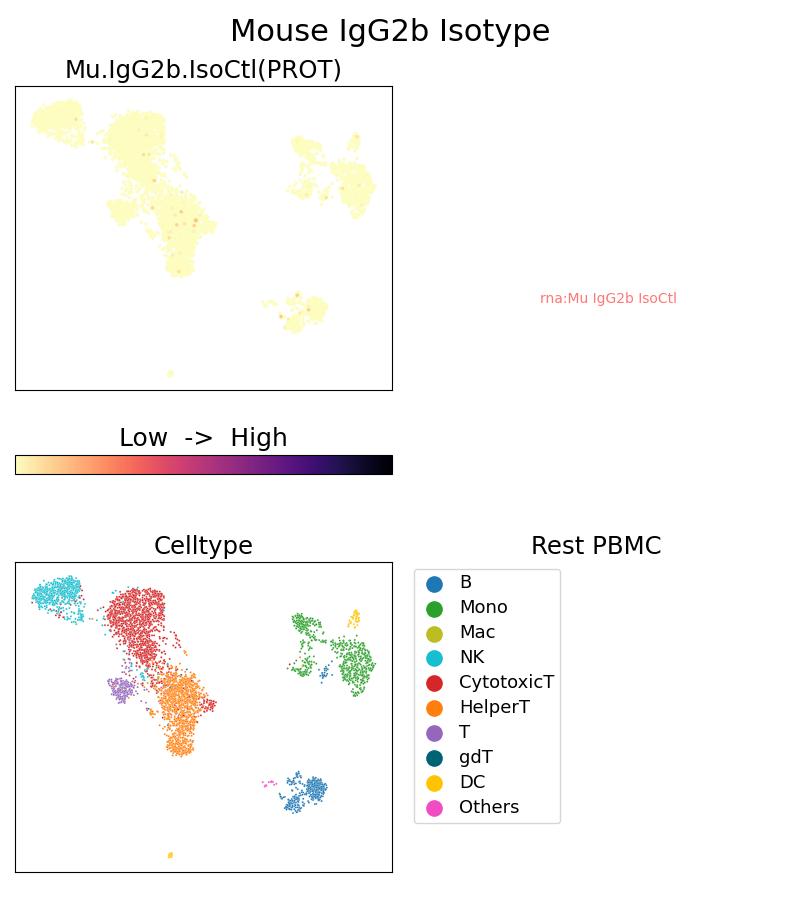 G66360-3-5C was used to stain Resting PBMC and analyzed with 10x Genomics Gene Expression Flex with Feature Barcodes and Multiplexing kit with Fix-Stain protocol. Single Cell Sequencing experiment G66360-3-5C on Resting PBMC