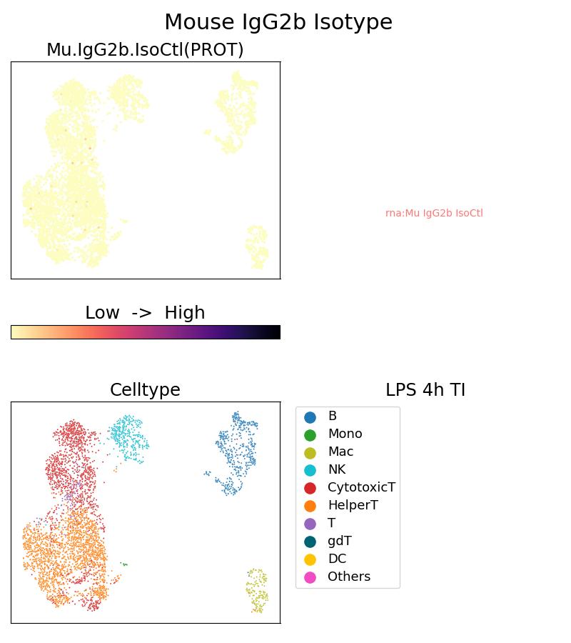 G66360-3-5C was used to stain PBMC under 4hr LPS + TI treatment and analyzed with 10x Genomics Gene Expression Flex with Feature Barcodes and Multiplexing kit with Fix-Stain protocol. Single Cell Sequencing experiment G66360-3-5C on PBMC treated with 4hr LPS + TI