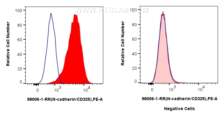 FC experiment of HeLa using 98006-1-RR (same clone as 98006-1-PBS)