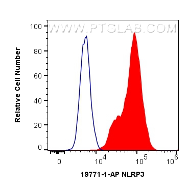 FC experiment of THP-1 using 19771-1-AP