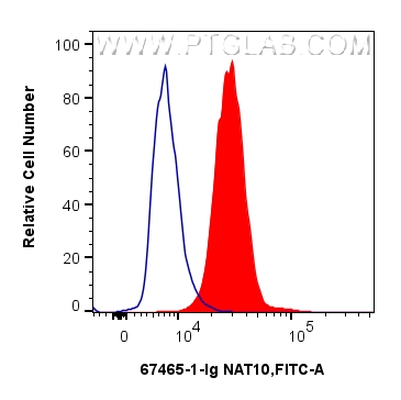 FC experiment of HeLa using 67465-1-Ig FC experiment of HeLa using 67465-1-Ig