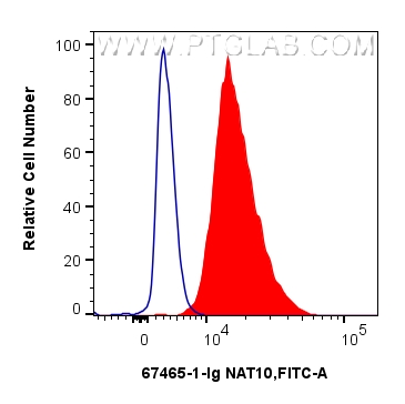 FC experiment of NIH/3T3 using 67465-1-Ig FC experiment of NIH/3T3 using 67465-1-Ig