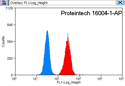 FC experiment of HeLa using 16004-1-AP