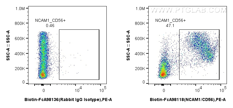 FC experiment of mouse bone marrow cells using Biotin-FcA98118 FC experiment of mouse bone marrow cells using Biotin-FcA98118