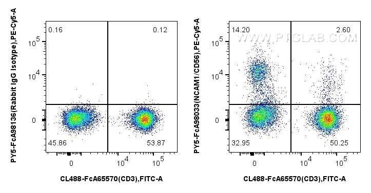 1x10^6 human PBMCs were surface stained with FcZero-rAb™ CoraLite® Plus 488 Anti-Human CD3 (UCHT1), and 5 ul PE-Cyanine5 Anti-Human NCAM1/CD56 Rabbit RecAb (PY5-FcA98033, Clone: 240078A7) or FcZero-rAb™ PE-Cyanine5 Rabbit IgG Isotype Control Recombinant Antibody (PY5-FcA98136, Clone: 240953C9). Cells were incubated with MonoZero™ Monocytes blocking Reagent (<a class='green' href='/productredirect?CatalogNo=PF00020' target='_blank'>PF00020</a>) prior to staining. Cells were not fixed. FC experiment of human PBMCs using PY5-FcA98033