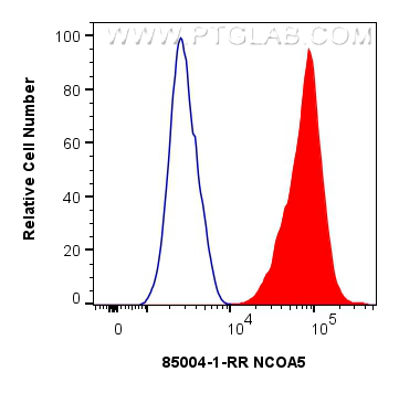 FC experiment of HEK-293 using 85004-1-RR (same clone as 85004-1-PBS)