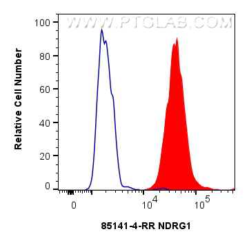 FC experiment of HeLa using 85141-4-RR (same clone as 85141-4-PBS)