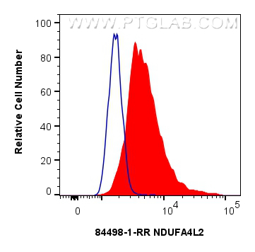 FC experiment of HeLa using 84498-1-RR