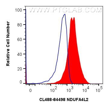 FC experiment of HeLa using CL488-84498