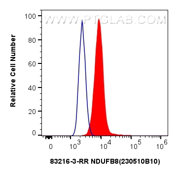 FC experiment of HeLa using 83216-3-RR (same clone as 83216-3-PBS)