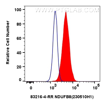 FC experiment of HeLa using 83216-4-RR (same clone as 83216-4-PBS)