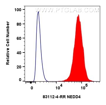 FC experiment of U2OS using 83112-4-RR (same clone as 83112-4-PBS)