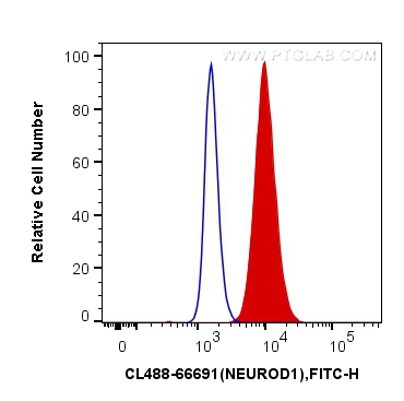 FC experiment of SH-SY5Y using CL488-66691