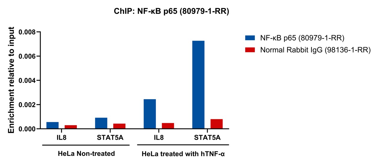ChIP experiment of HeLa using 80979-1-RR (same clone as 80979-1-PBS)