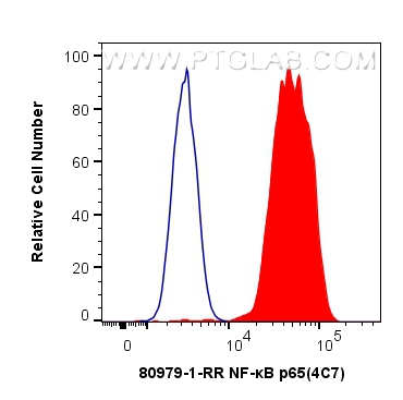 FC experiment of HepG2 using 80979-1-RR (same clone as 80979-1-PBS)
