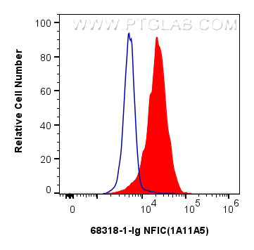 FC experiment of HeLa using 68318-1-Ig (same clone as 68318-1-PBS)
