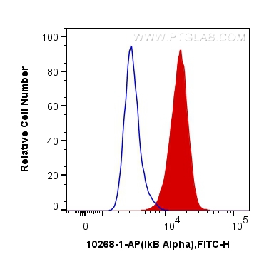 IkB Alpha