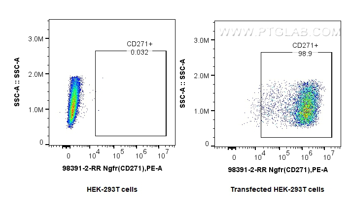 FC experiment of Transfected HEK-293T using 98391-2-RR