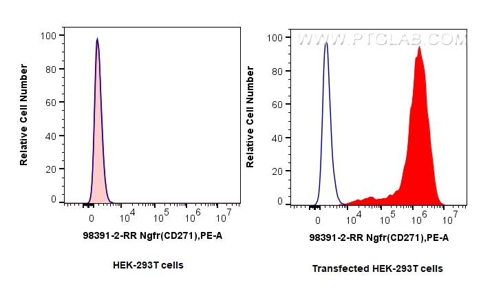 FC experiment of Transfected HEK-293T using 98391-2-RR