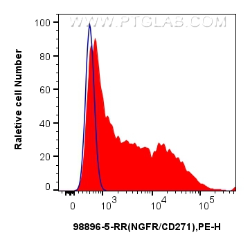 FC experiment of SK-N-SH using 98896-5-RR