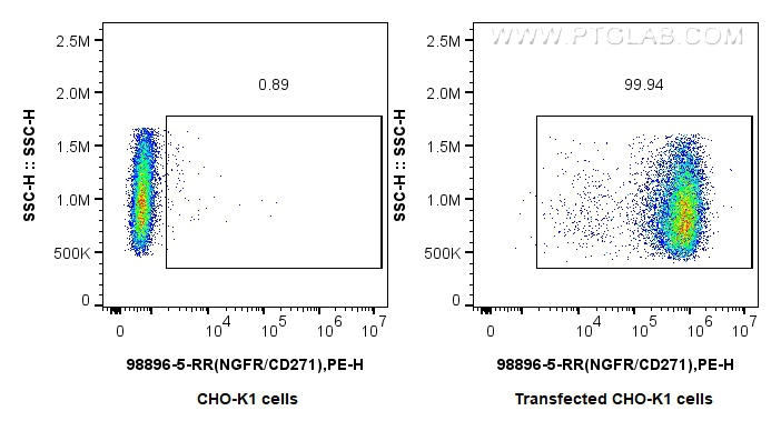 FC experiment of Transfected CHO-K1 using 98896-5-RR