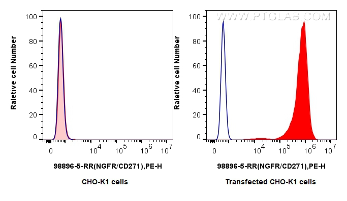 FC experiment of Transfected CHO-K1 using 98896-5-RR