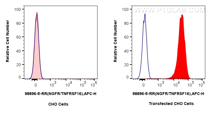 FC experiment of Transfected CHO Cells using 98896-5-RR (same clone as 98896-5-PBS)