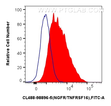 FC experiment of SK-N-SH using CL488-98896-5 FC experiment of SK-N-SH using CL488-98896-5