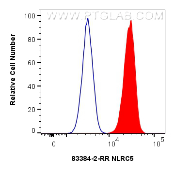 1x10^6 THP-1 cells were intracellularly stained with 0.25 ug NLRC5 Recombinant monoclonal antibody (83384-2-RR, Clone:240338D8) and CoraLite®488-Conjugated Goat Anti-Rabbit IgG(H+L) (<a class='green' href='/productredirect?CatalogNo=SA00013-2' target='_blank'>SA00013-2</a>)(red), or 0.25 ug Rabbit IgG Isotype Control RecAb (<a class='green' href='/productredirect?CatalogNo=98136-1-RR' target='_blank'>98136-1-RR</a>, Clone: 240953C9) (blue). Cells were fixed and permeabilized with Intracellular Flow Cytometry Fixation & Permeabilization Buffer Kit (<a class='green' href='/productredirect?CatalogNo=PF00019' target='_blank'>PF00019</a>). FC experiment of THP-1 using 83384-2-RR