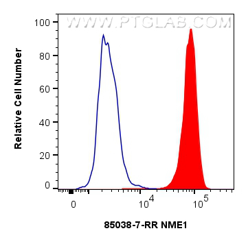 FC experiment of HepG2 using 85038-7-RR (same clone as 85038-7-PBS)