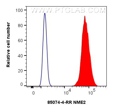 FC experiment of HEK-293T using 85074-4-RR