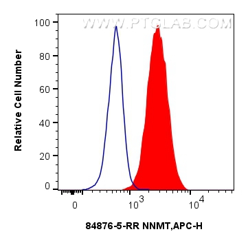 FC experiment of HepG2 using 84876-5-RR (same clone as 84876-5-PBS)