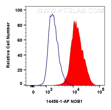 FC experiment of Jurkat using 14456-1-AP
