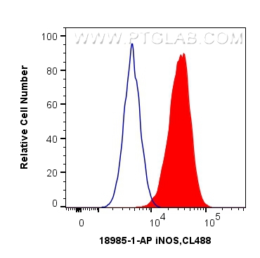 FC experiment of HepG2 using 18985-1-AP