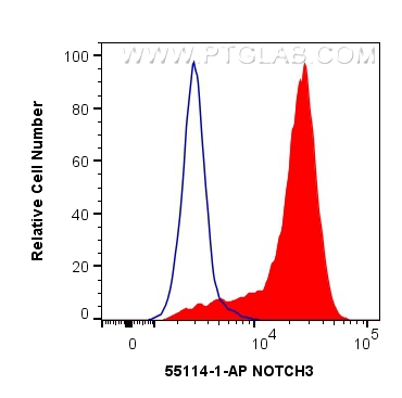 FC experiment of Jurkat using 55114-1-AP