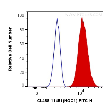 FC experiment of MCF-7 using CL488-11451