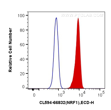 NRF1/nuclear respiratory factor 1