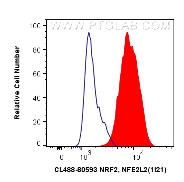 FC experiment of MCF-7 using CL488-80593