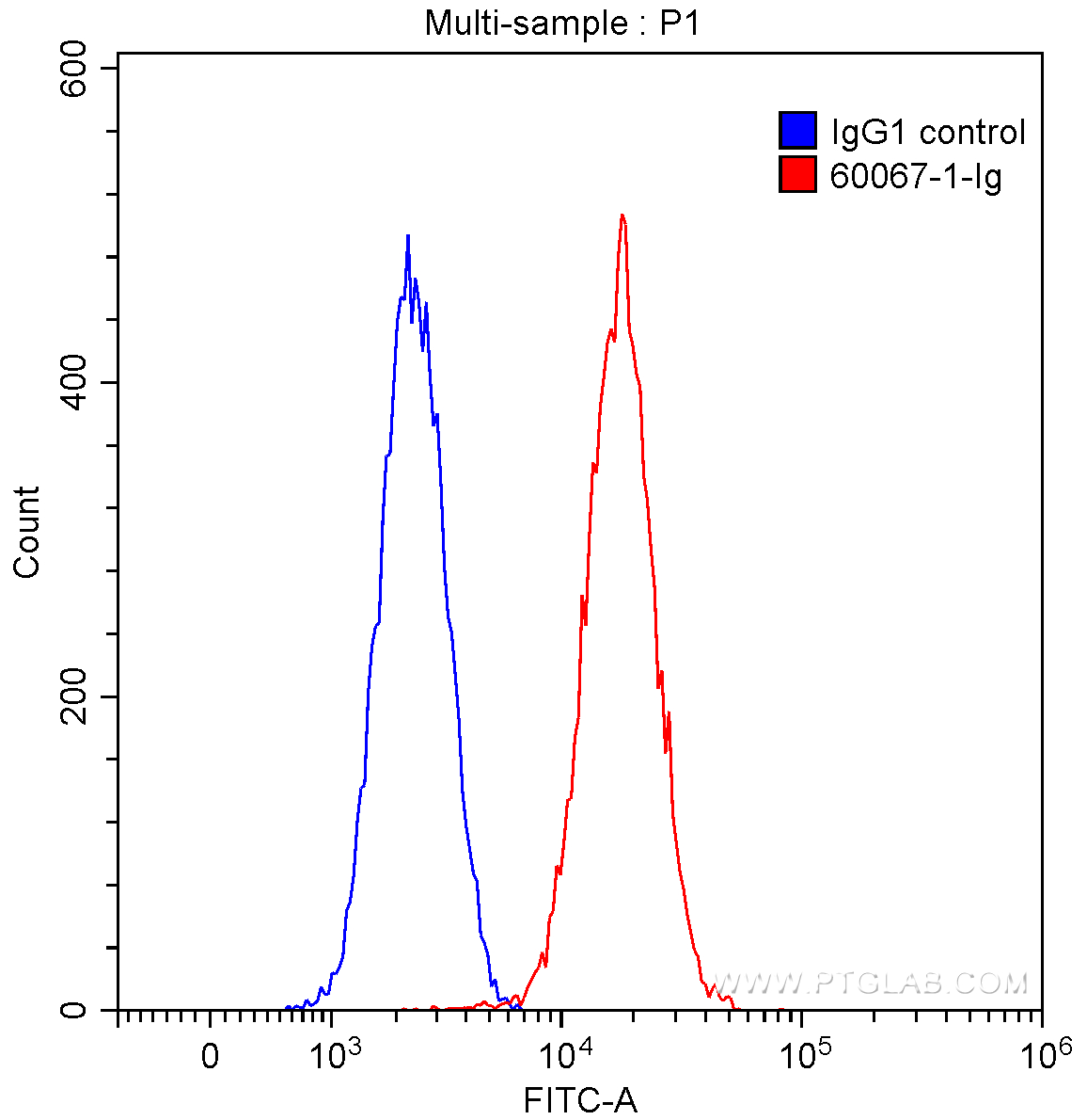 FC experiment of SH-SY5Y using 60067-1-Ig