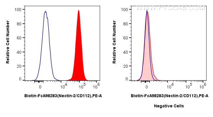 FC experiment of K-562 using Biotin-FcA98283
