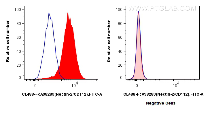 FC experiment of K-562 using CL488-FcA98283