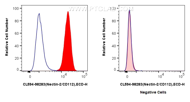 1x10^6 K-562 cells(left) or Daudi cells (right) were surface stained with 5 ul CoraLite®594 Anti-Human Nectin-2/CD112 Rabbit RecAb (CL594-98283, Clone:241725D3)(red), or CoraLite®594 Rabbit IgG Isotype Control RecAb (<a class='green' href='/productredirect?CatalogNo=CL594-98136' target='_blank'>CL594-98136</a>, Clone: 240953C9) (blue). Cells were not fixed. FC experiment of K-562 using CL594-98283