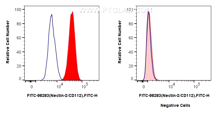 1x10^6 K-562 cells (left) or Daudi cells (right) were surface stained with 5 ul FITC Plus Anti-Human Nectin-2/CD112 Rabbit RecAb (FITC-98283, Clone: 241725D3) (red), or FITC Plus Rabbit IgG Isotype Control RecAb (<a class='green' href='/productredirect?CatalogNo=FITC-98136' target='_blank'>FITC-98136</a>, Clone: 240953C9) (blue). Cells were not fixed. FC experiment of K-562 using FITC-98283