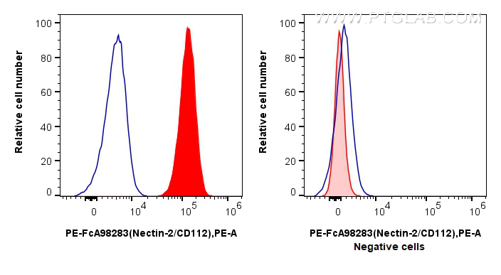 FC experiment of K-562 using PE-FcA98283 FC experiment of K-562 using PE-FcA98283