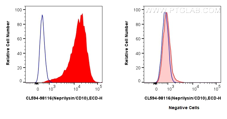 FC experiment of Reh using CL594-98116 FC experiment of Reh using CL594-98116