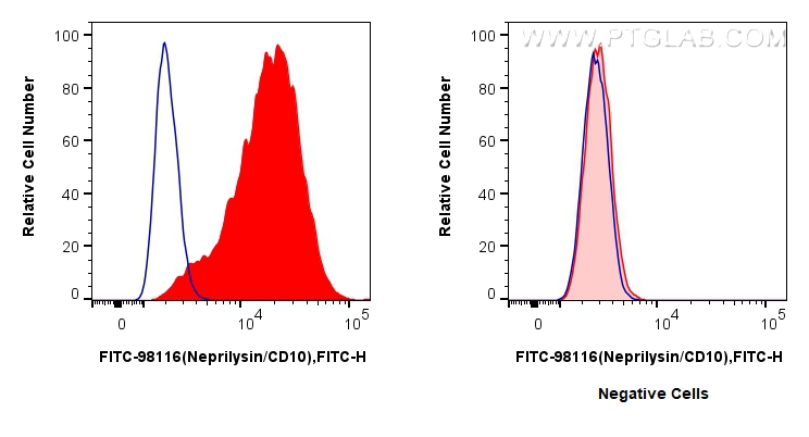FC experiment of Reh using FITC-98116