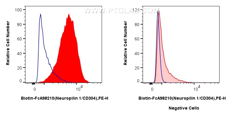 FC experiment of HUVEC using Biotin-FcA98210