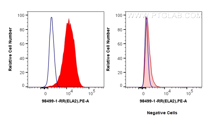 FC experiment of U-937 using 98499-1-RR (same clone as 98499-1-PBS) FC experiment of U-937 using 98499-1-RR (same clone as 98499-1-PBS)