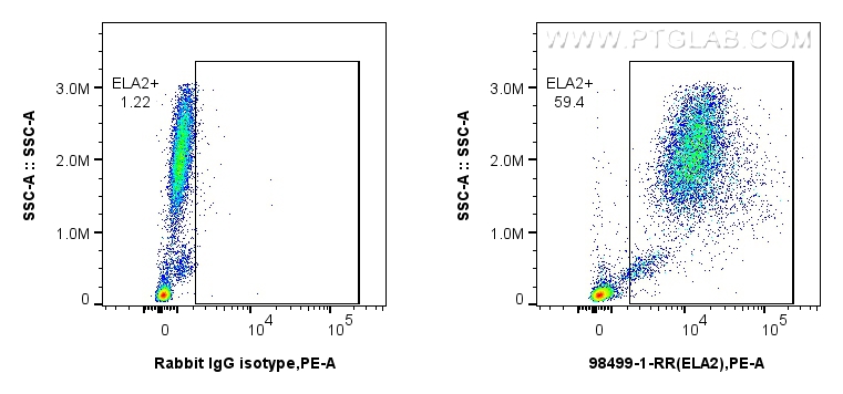 FC experiment of human peripheral blood leukocytes using 98499-1-RR (same clone as 98499-1-PBS) FC experiment of human peripheral blood leukocytes using 98499-1-RR (same clone as 98499-1-PBS)