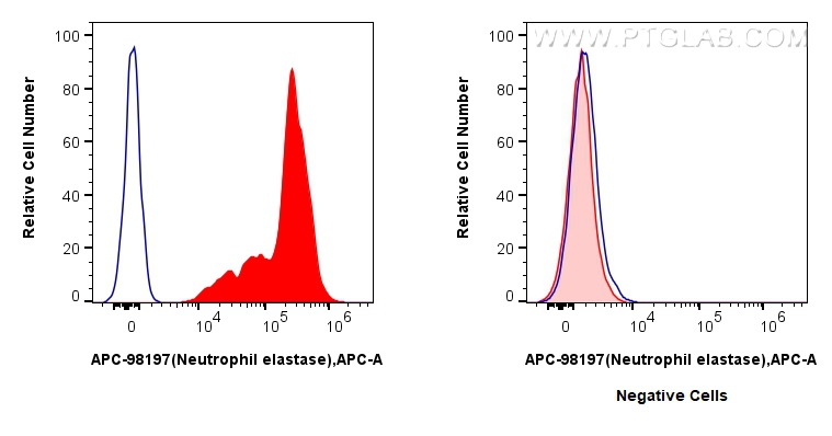 FC experiment of mouse bone marrow cells using APC-98197